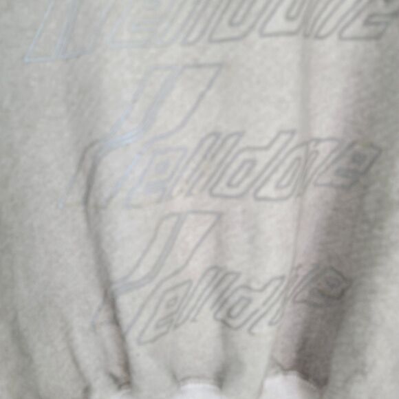 Welldone gray sweatshirt with reflective logo - Picture 15 of 15